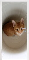 Deursticker Kat - Prullenbak - Wit - 80x215 cm - Deurposter