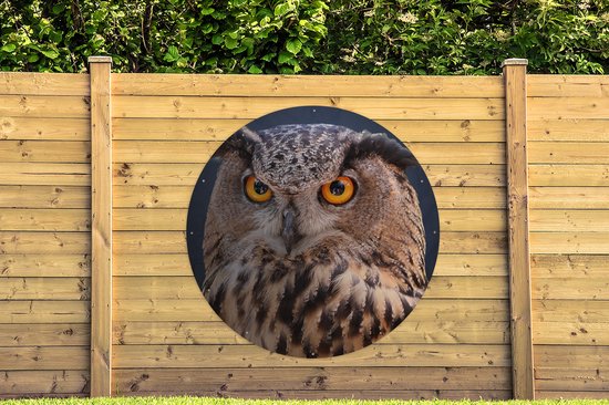 Cercle de jardin A close-up of a brown owl - 150x150 cm - Affiche de jardin ronde - Extérieur