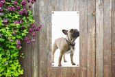 Tuinposter Franse Bulldog - Halsband - Bruin - 40x80 cm - Wanddecoratie Buiten - Tuinposter - Tuindoek - Schuttingposter - Tuinschilderij