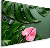 Schilderij - Roze bloem met Monstera Bladeren, Premium Print