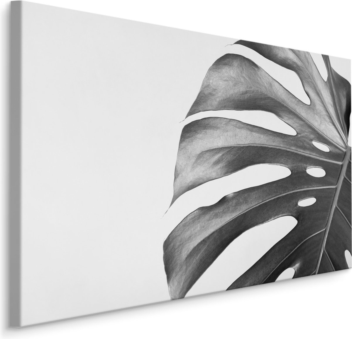 karo-art Schilderij - Palmblad zwart-wit, premium print Multikleur