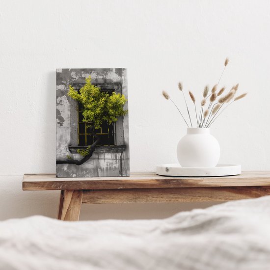 Tableau sur toile Artaza Arbre poussant à travers une fenêtre - 20x30 - Klein - Photo sur toile - Impression sur toile