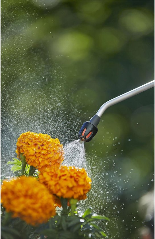 Sproeier van een drukspuit sproeit water op oranje bloemen in de zon.