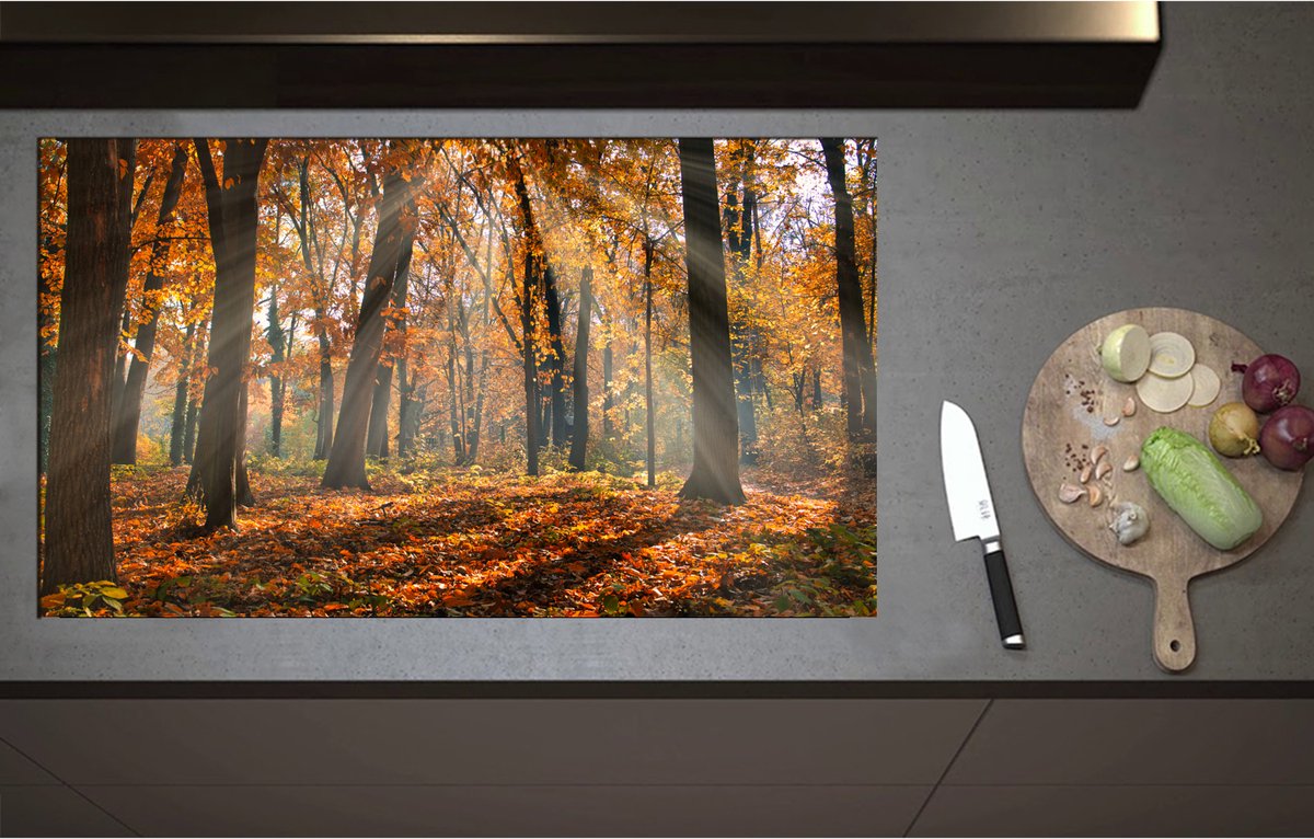 Inductieplaat Beschermer - Bos in de Herfst met Zonnestralen door de Bomen - 95x55 cm - 2 mm Dik - Inductie Beschermer - Bescherming Inductiekookplaat - Kookplaat Beschermer van Zwart Vinyl