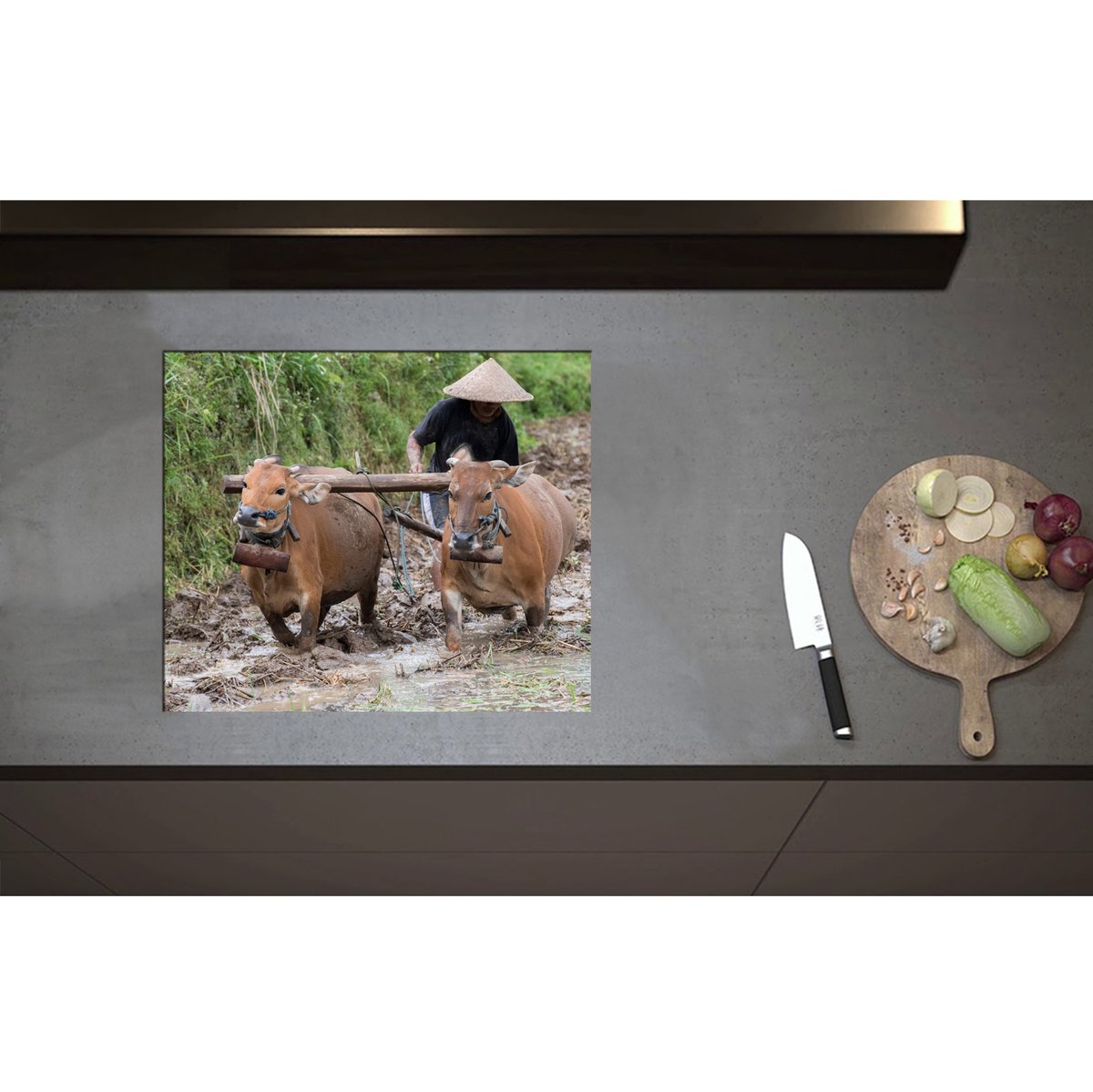 Inductieplaat Beschermer - Boer met twee Ossen aan het Werk op het Land - 59x50 cm - 2 mm Dik - Inductie Beschermer - Bescherming Inductiekookplaat - Kookplaat Beschermer van Wit Vinyl