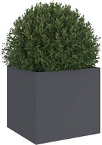 vidaXL - Plantenbak - 32x30x29 - cm - koudgewalst - staal - antracietkleurig