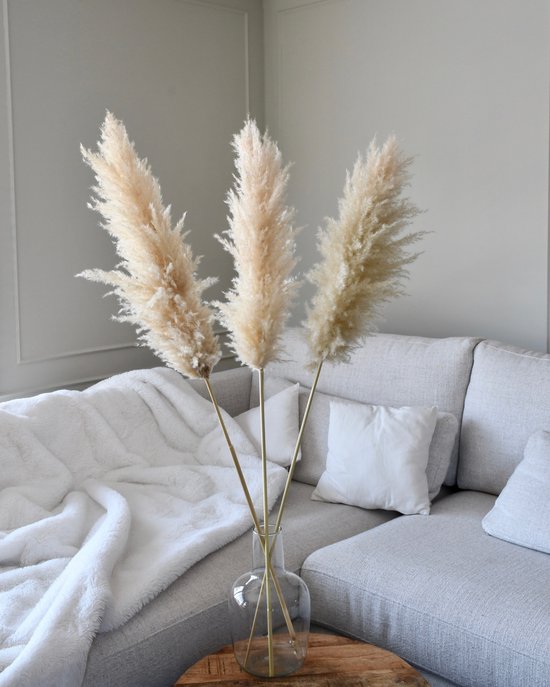 Gedroogde Pampas Pluimen XL Naturel - Droogbloemen | Flowers to stay