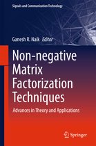Non negative Matrix Factorization Techniques