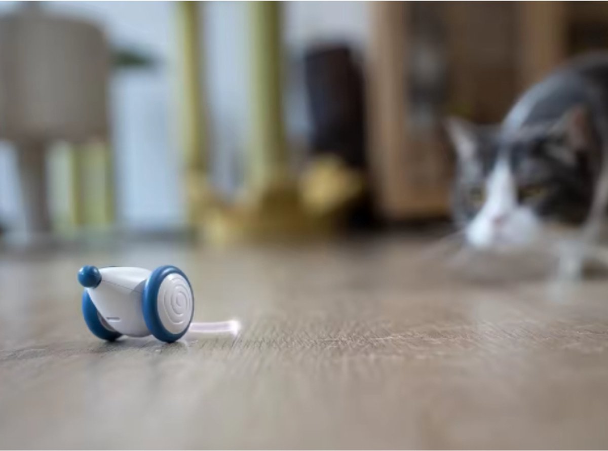 Katten - Elektrische muis - Muisspeelgoed - Wicked mouse - met sensor