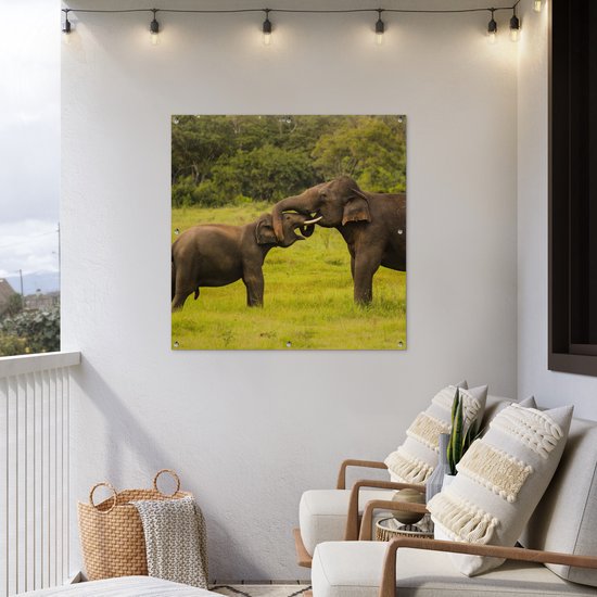 Torchon de jardin Deux éléphants combattants - 100x100 cm