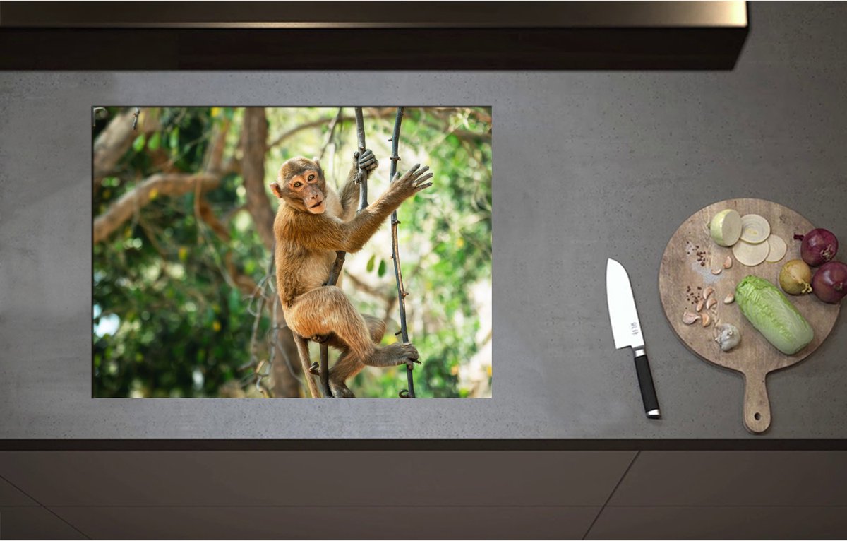 Inductieplaat Beschermer - Aap hangt en zit op takken in de jungle - 71x52 cm - 2 mm Dik - Inductie Beschermer - Bescherming Inductiekookplaat - Kookplaat Beschermer van Zwart Vinyl
