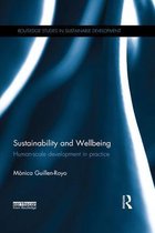 Routledge Studies in Sustainable Development - Sustainability and Wellbeing