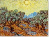Muurdecoratie buiten Olijfbomen met gele hemel en zon - Vincent van Gogh - 160x120 cm - Tuindoek - Buitenposter