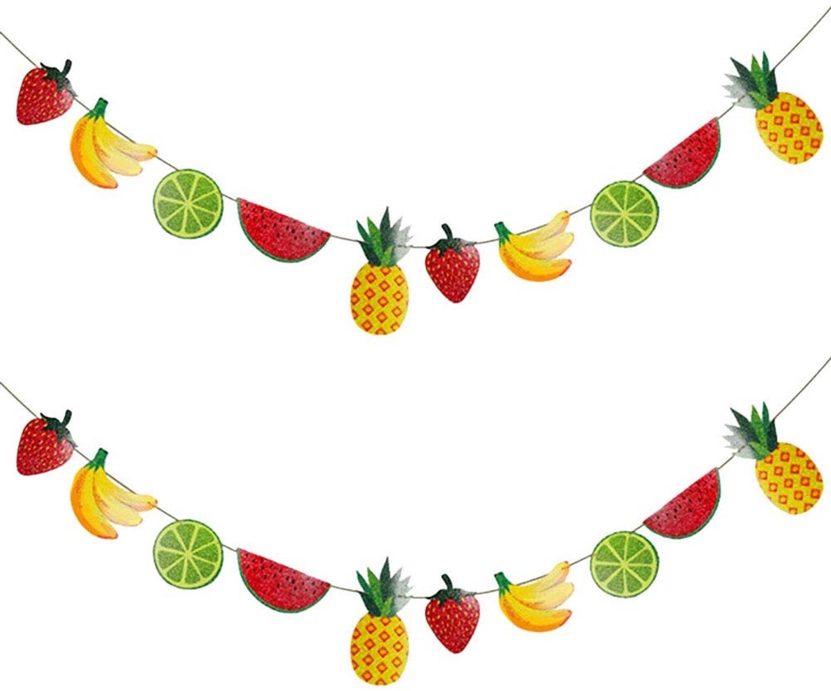 MTTproducts- Party Banner Handgemaakt - Zomer Fruit Thema - Slinger Vlaggen - Tropische Feestdecoratie - Verjaardag/ Baby Shower - Papier 28 x 20 cm