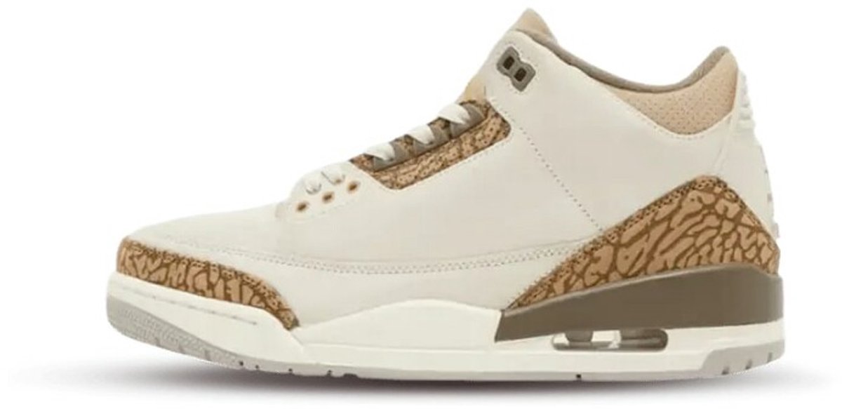 Air Jordan 3 Retro 'Palomino' (GS) - Maat 36.5