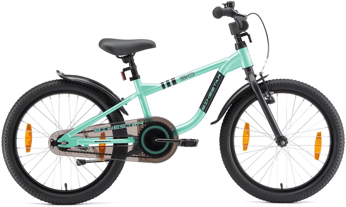 Löwenrad kinderfiets 20 inch wielen mintgroen