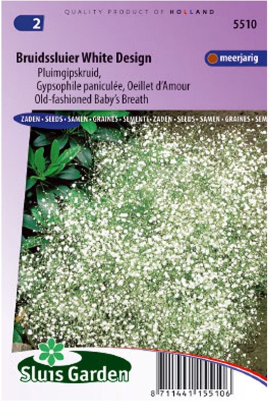 Sluis Garden - Bruidssluier White Design (Gypsophila paniculata)
