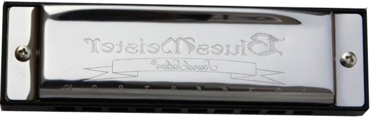 Harmonica - Muziek instrument - Muziek maken - 20 stemmen - 10 gaten - Blauw