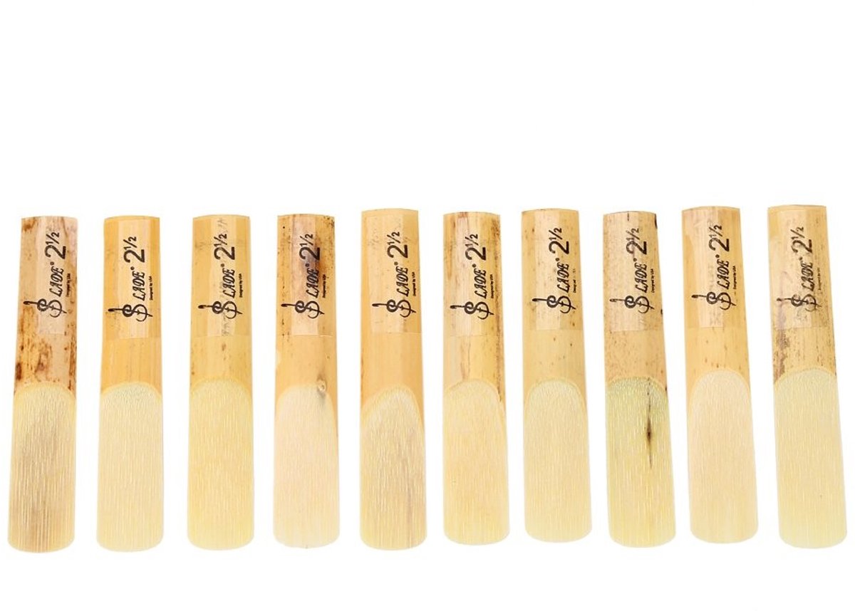 Dailygoods- Klarinetrieten 10-delige Set - Vervangende Rieten - Hoogwaardig Kunststof/Hout - Duurzaam - Eenvoudig te Installeren - Geschikt voor Beginners - Riet