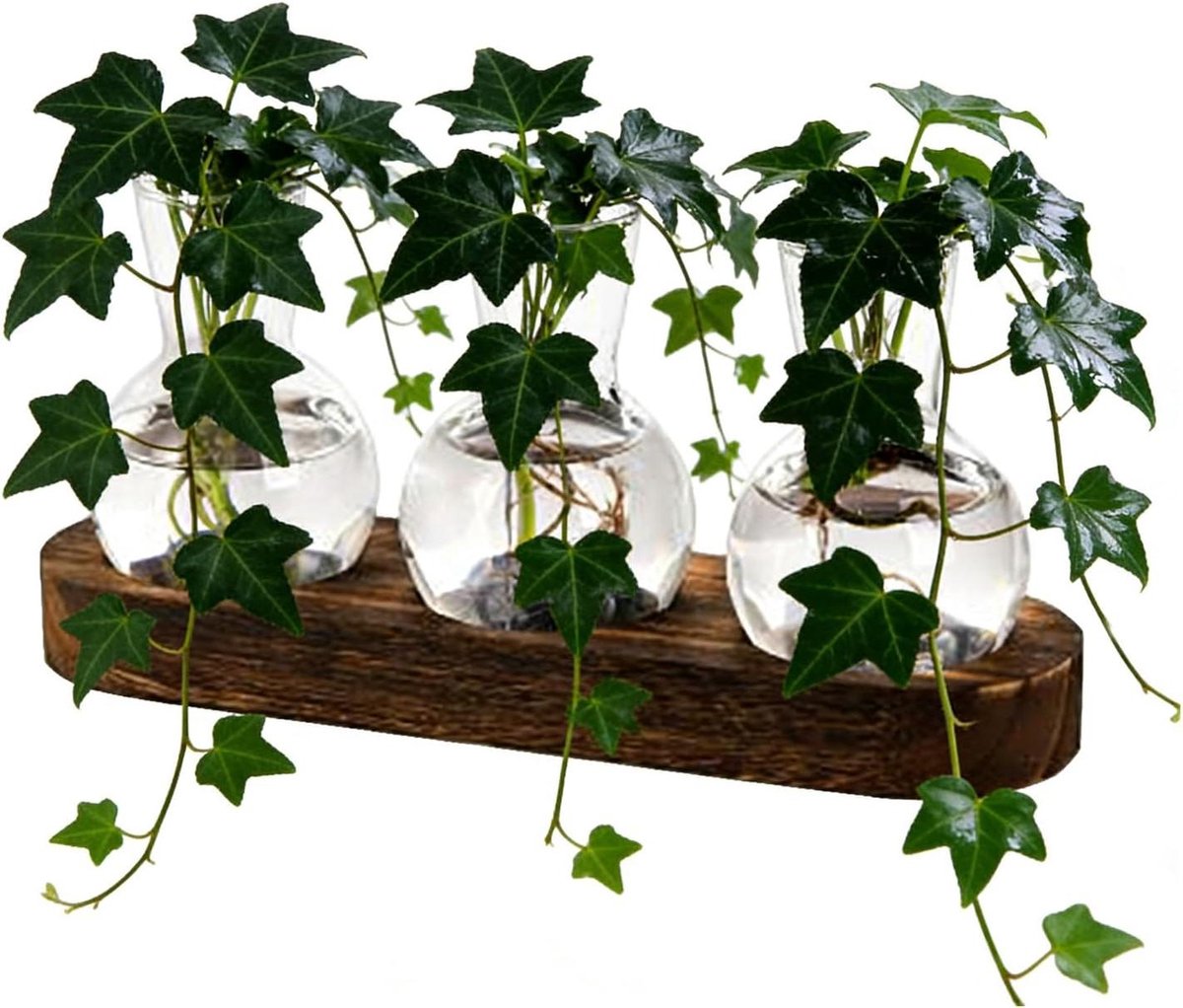 Hydrocultuur Vaas - Plantenhouder Desktop - Planten Vermeerderen - Afneembaar Waterverversingssysteem - 24x7x2.5 cm - Niet gespecificeerd