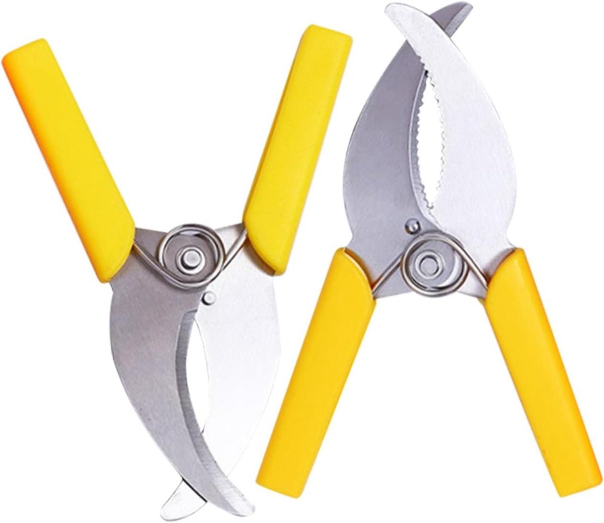 Fruitboom Ringafschilfer - Tuinschaar Snoeien - Boomverzorging Thuis - Professioneel Gereedschap - 2 Stuks - Zilver