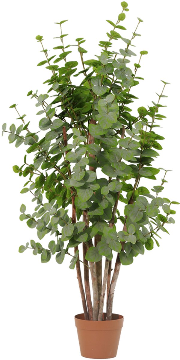Trendyplants - Kunst Eucalyptus Green - Eucalyptusboom - Kunstplant - Hoogte 120cm - Potmaat Ø18cm