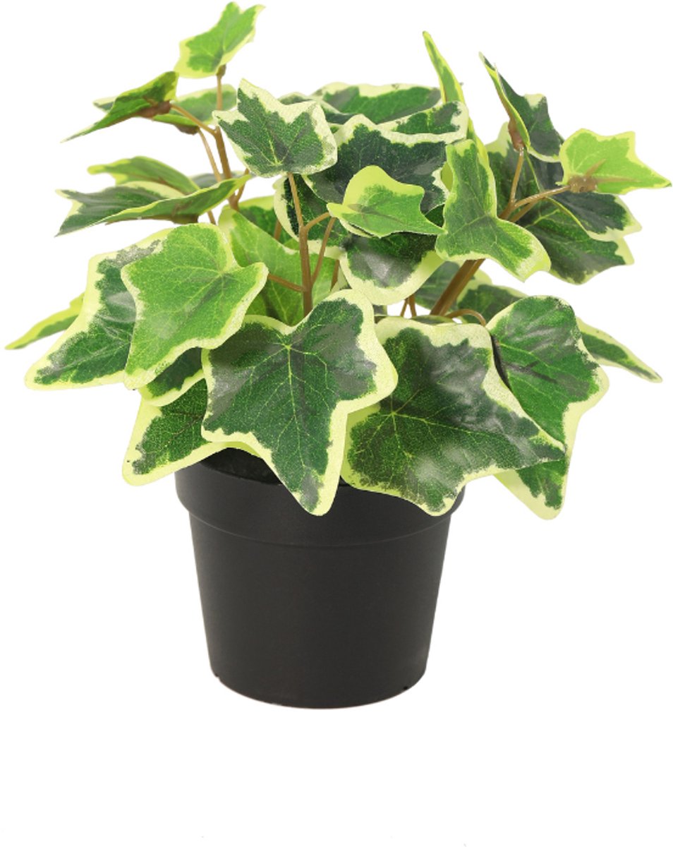Trendyplants - Kunst White Ivy - Witte Klimop - Kunstplant - Hoogte 19cm - Potmaat Ø9cm