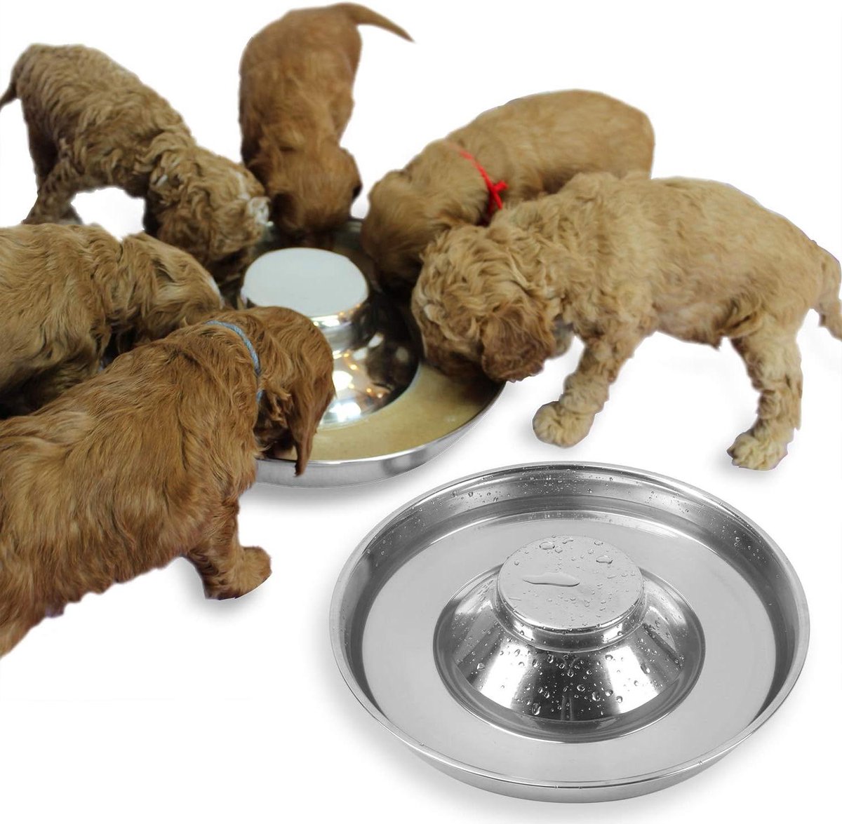 Roestvrijstalen Hondenkommen - Puppy Voerbakken - Puppy's Voeden - Verhoogd Centrum - 13cm Diameter - Zilver