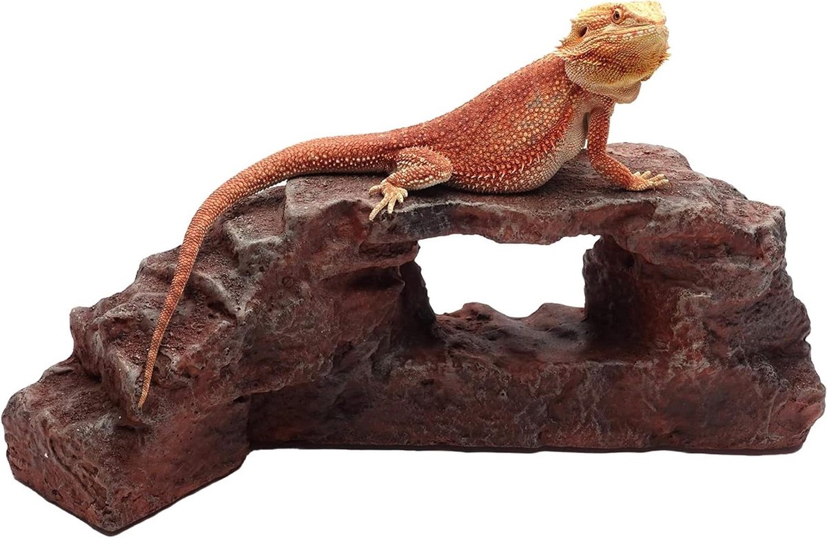 Reptiel Habitat Accessoire - Rotsboog Terrarium - Veilig Reptiel Verblijf - Speciaal Ontworpen - 19"L x 8.25"W x 6.375"H