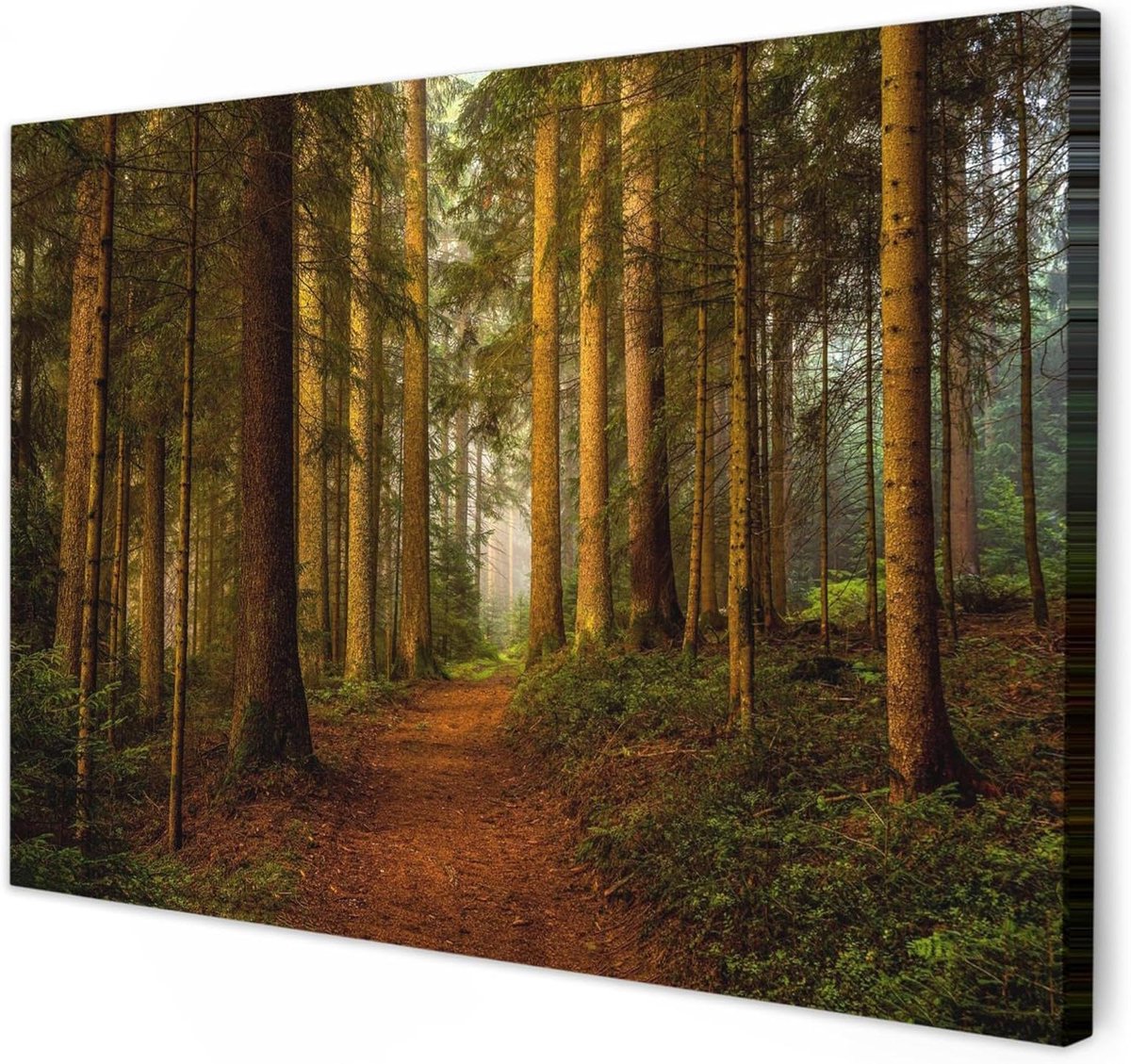 Canvas Schilderij Bos - Wanddecoratie Natuur - Woonkamer Decoratie - Hout Frame 2cm - 90x60 cm - Natuur Bospad