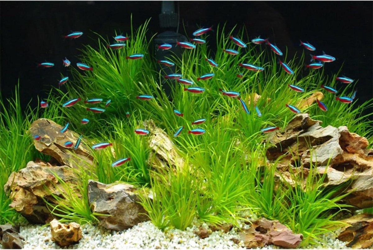 Aquarium Achtergrond - Vis Tank Decoratie - Onderwater Landschap - Levendige HD Beelden - 76x46 cm - Niet gespecificeerd