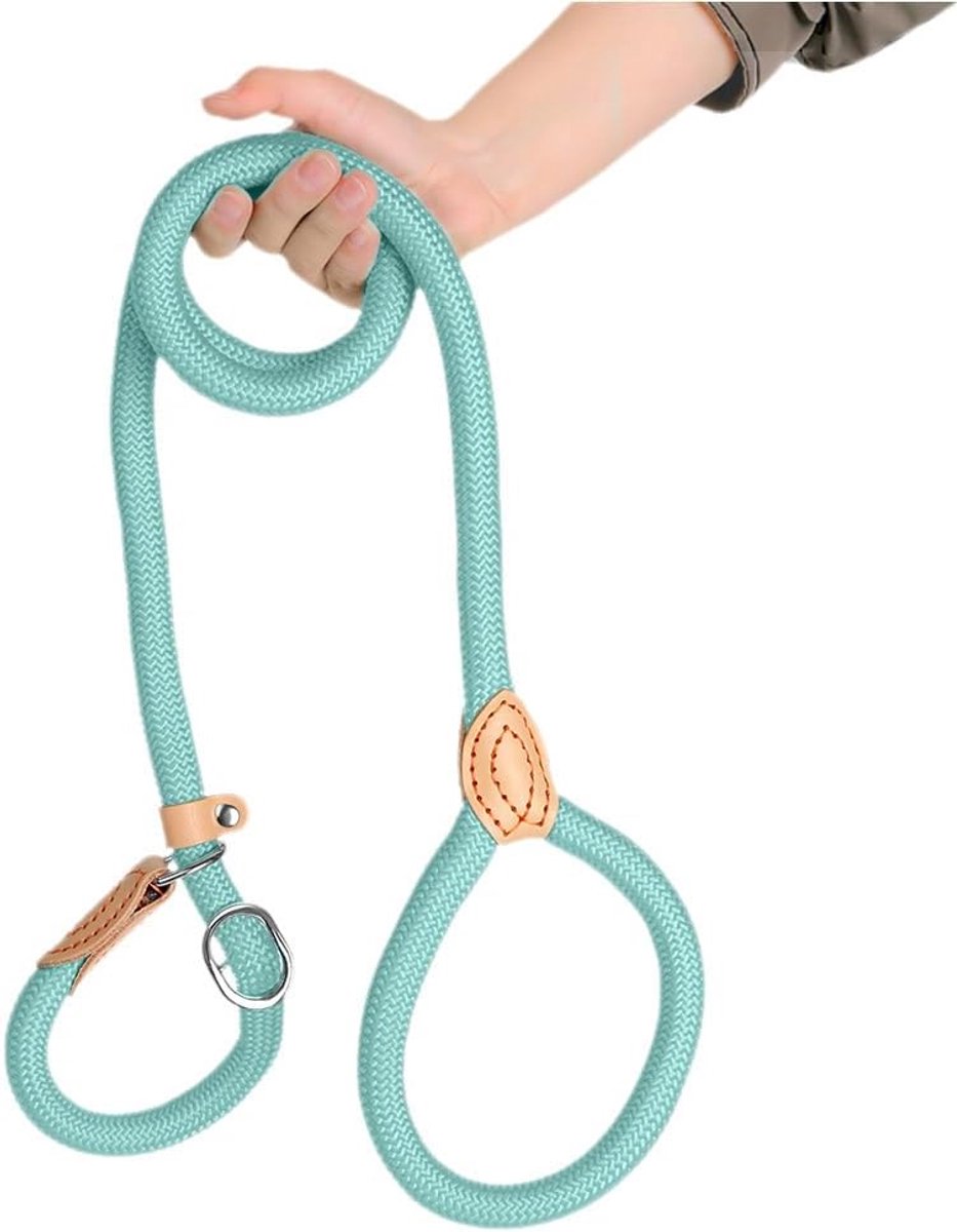Killogood Antislip hondenriem - gemaakt van duurzaam - sterk nylon - geschikt voor hondentraining - 10 mm breed x 180 cm lang - met een comfortabel handvat - geschikt voor grote - middelgrote en kleine honden (cyaan).