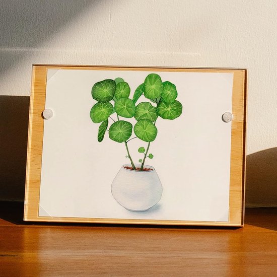 Zelfklevende Fotohoekjes - Montagehoeken - Foto's Plakken - Zuurvrij Archiefmateriaal - 16 cm - Transparant
