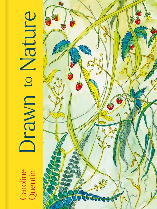Drawn to Nature - cover