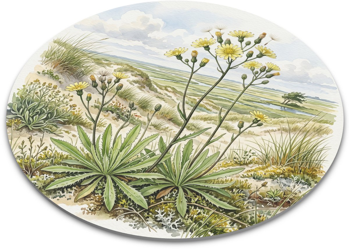 Ronde Muismat - Spits Havikskruid in Duinenlandschap - Aquarel Gele Bloemen en Natuur - Botanische Bureau Styling Decoratie - Diameter 22 cm