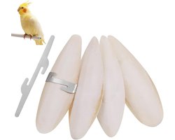 Sepia en beha's voor papegaaien en reptielen, calciumbron, 7-9 cm, geel, voeding voor vogels