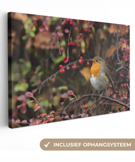 Canvas schilderij 60x40 cm - Wanddecoratie Takken - Roodborstje - Natuur - Muurdecoratie woonkamer - Slaapkamer decoratie - Kamer accessoires - Schilderijen op canvas