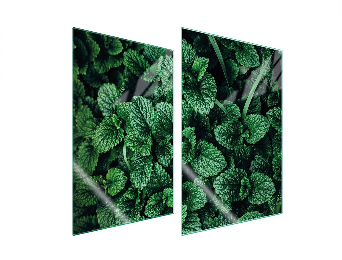 TMK ArtDeko Melisa - Glazen Beschermplaat - 2x 35x52 cm - Veilig en Veelzijdig