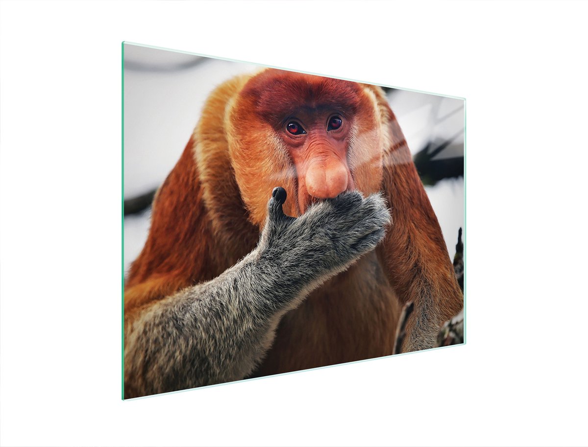 TMK ArtDeko Serie - Glazen Snijplank - 40x30 cm - Beschermplaat - Hittebestendig