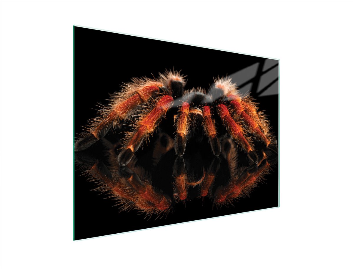TMK ArtDeko - Snijplank - Gehard Glas - 40x30 cm - Antislip
