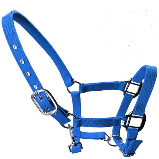 Allecto - Gewatteerde Hoofdband - Verstelbaar - Stijlvol en Comfortabel - Blauw - Paardensport - Geschikt voor Veulens en Pony's