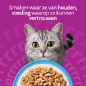 Zilveren kat met gele ogen kijkt naar bakje met natvoer.