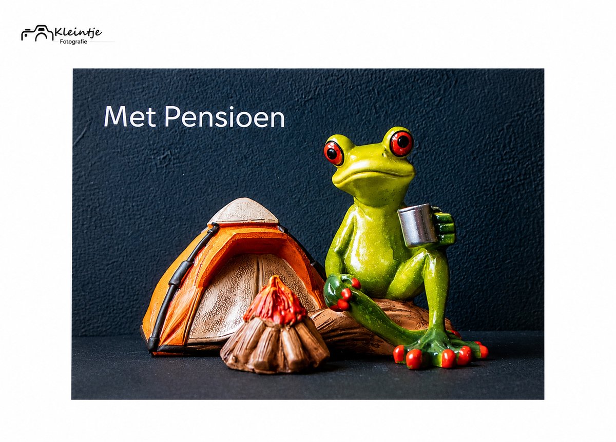 Pensioen kikker – Kamperen en genieten | Kleintje Fotografie