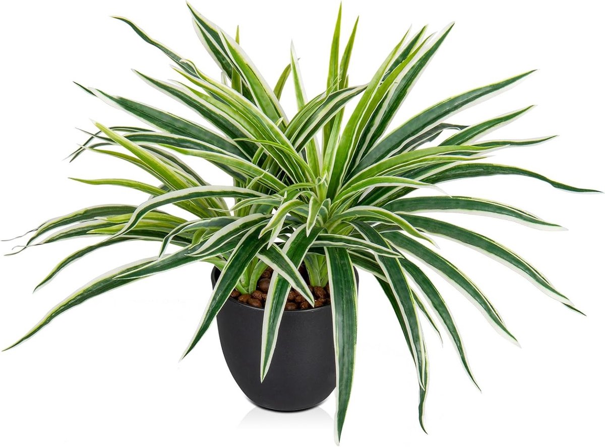 Allecta - Kunstplanten 33 cm. Nep spinplant. Decoratieve potplant. Realistische Chlorophytum Comosum. Kamerplant voor thuis. Keuken en badkamer decoratie.