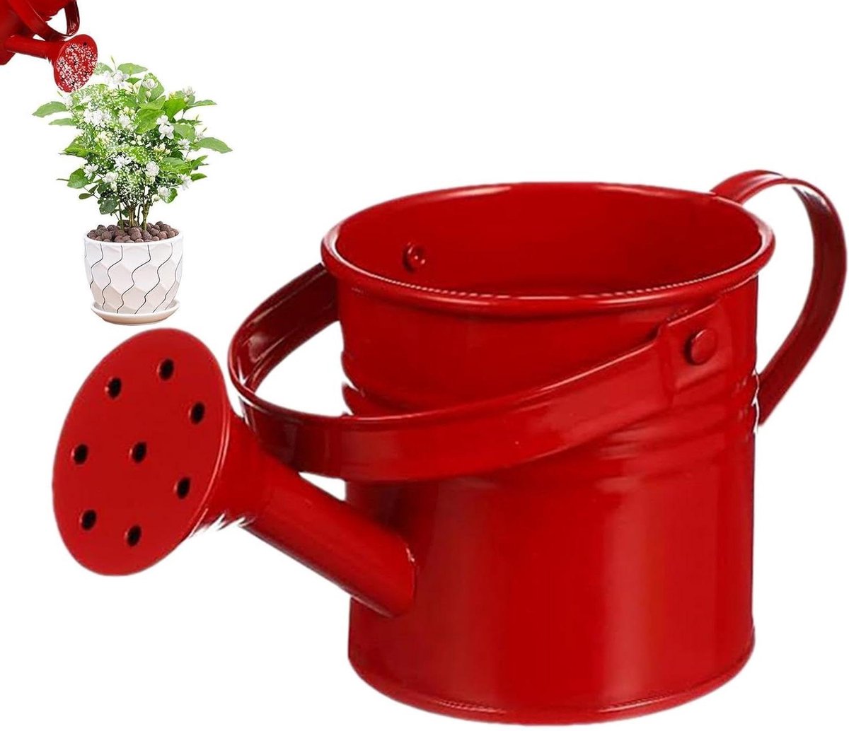 Gieter met Handvat - Waterpot Tuingereedschap - Planten Water Geven - Roestbestendig Ontwerp - 8 x 8 x 8 cm