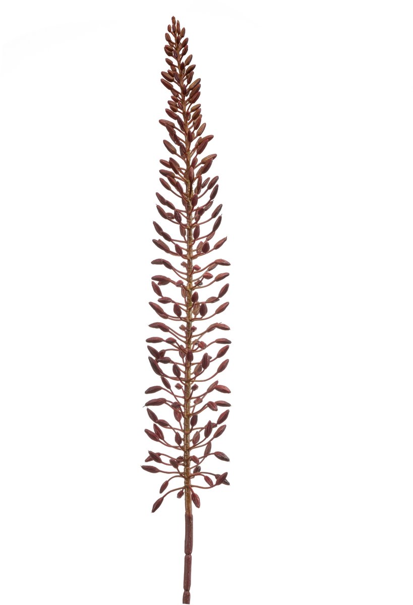Kunstbloem Eremurus Tak - Natuurlijke Look - Onderhoudsvrije Decoratie