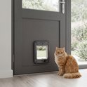Oranje kat zit naast een donkergrijs Cat Mate kattenluik dat is gemonteerd in een grijze voordeur.