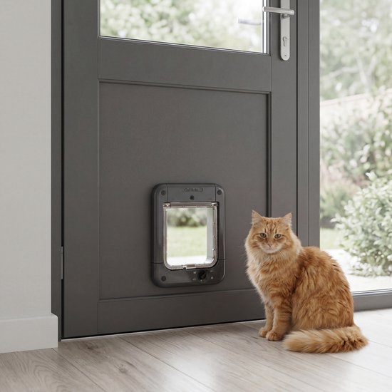 Oranje kat zit naast een donkergrijs Cat Mate kattenluik dat is gemonteerd in een grijze voordeur.