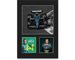 HWC Trading Fernando Alonso Aston Aston Martin Geschenken Afgedrukt Gesigneerde Handtekening Foto Voor F1 Formule 1 Racen Fans - A4 Portret (ID-009259)