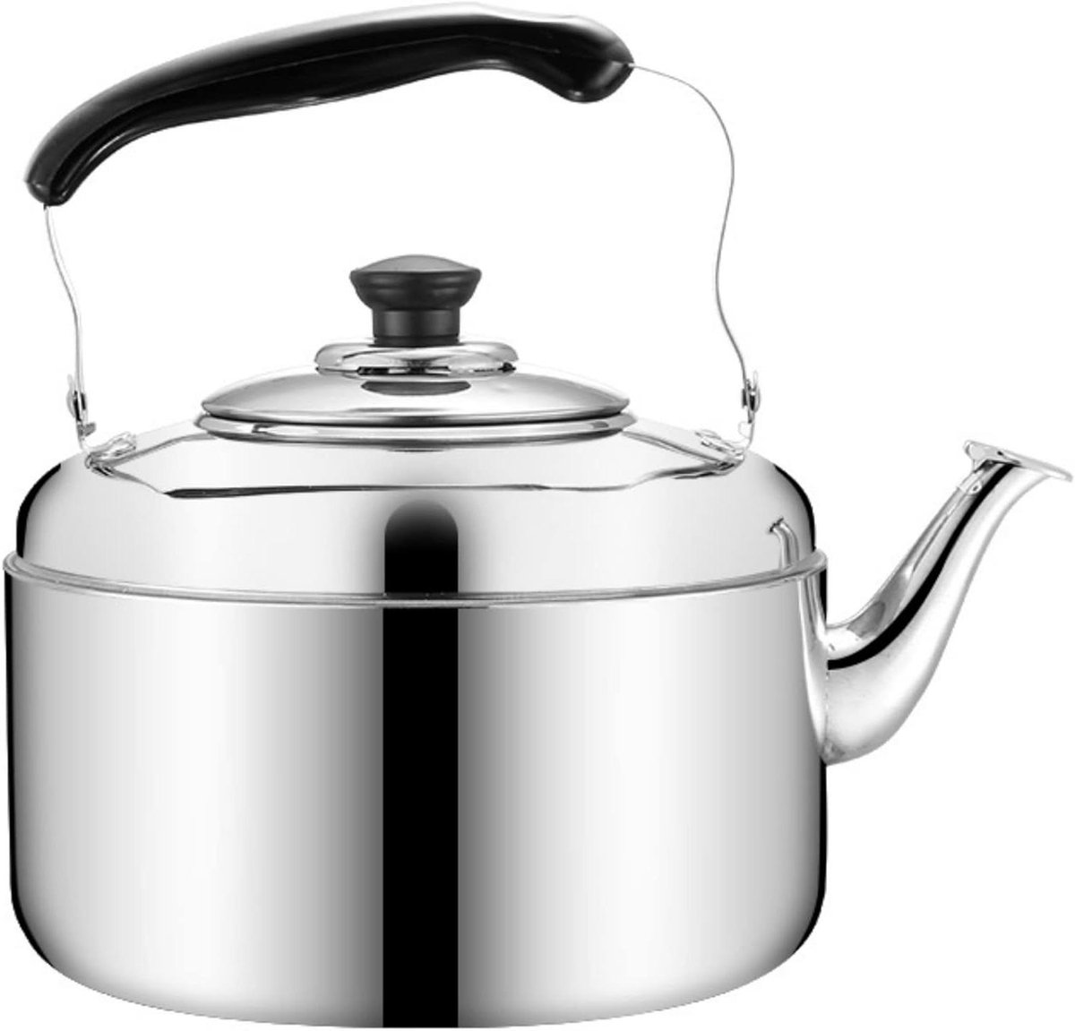 Waterkoker Met Fluit - Theepot Koffiekan - Water Koken - Universele Bodem - 6 Liter - Zilver